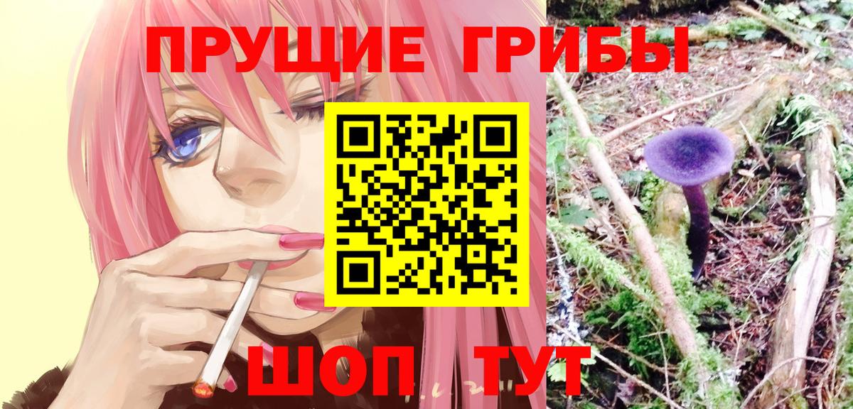 Псилоцибиновые грибы мухоморы  Галлюциногенные грибы GOLDEN TEACHER  Нижнекамск  Вход с VPN 