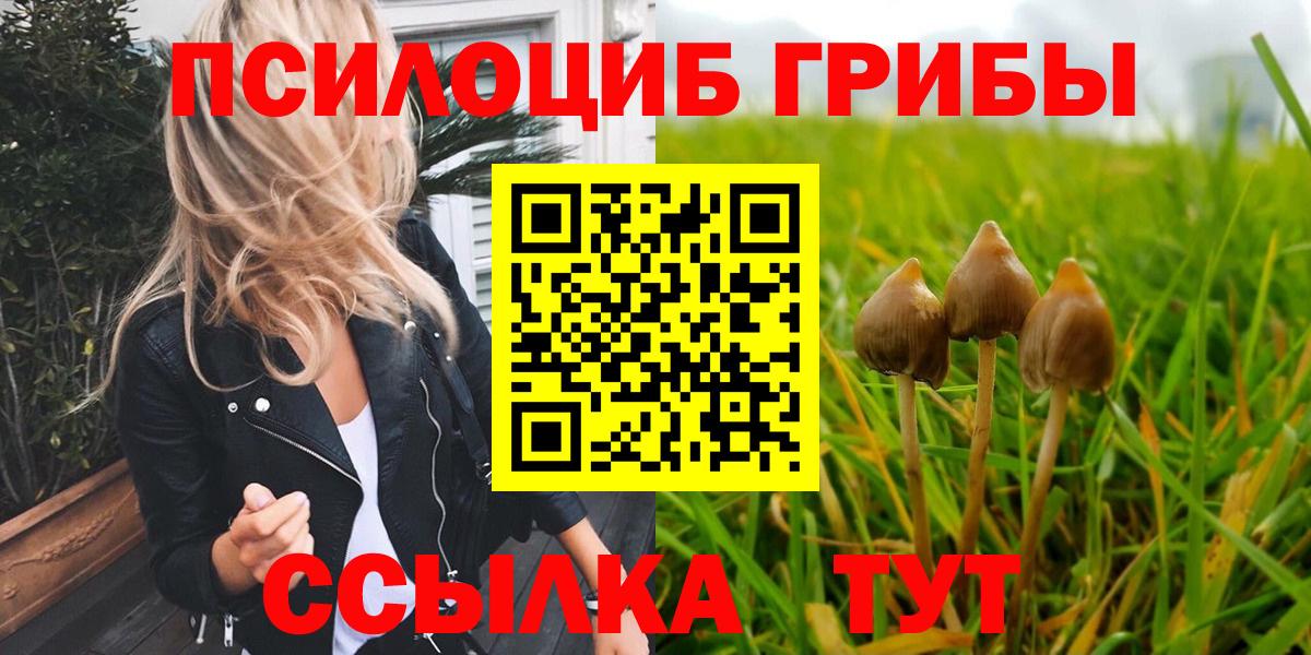 Галлюциногенные грибы прущие грибы Нижнекамск